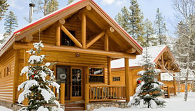 A log cabin with a red roof during winter