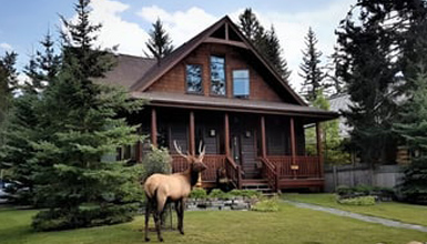 A cozy living room with a couch and chairs