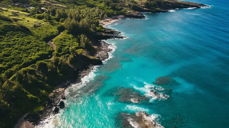The Big Island