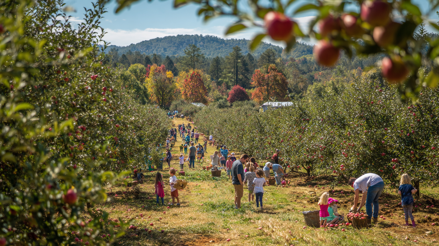 Local Flavor Local Flavor