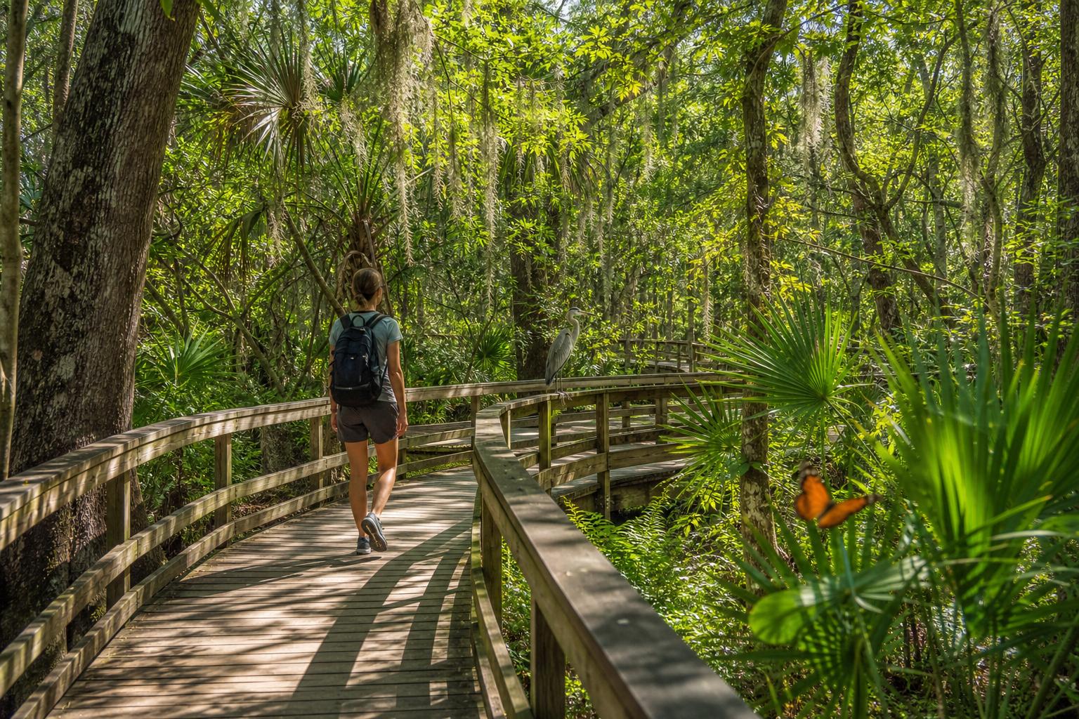 bonita-springs-nature-trail-adventures