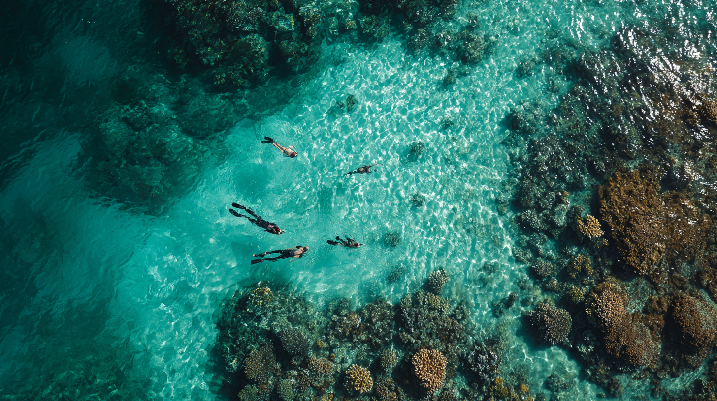 Dive the Belize Barrier Reef Dive the Belize Barrier Reef