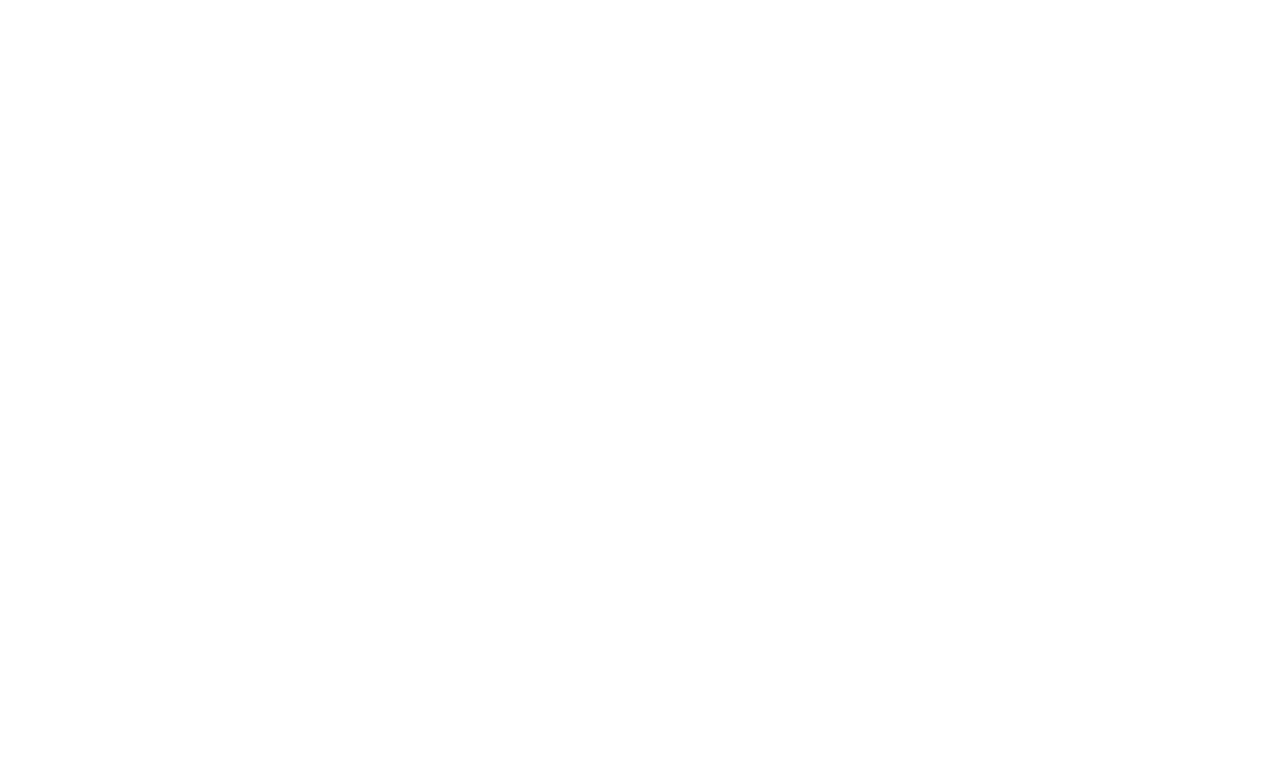 Presto Logo