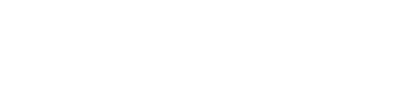 lech-ski-logo