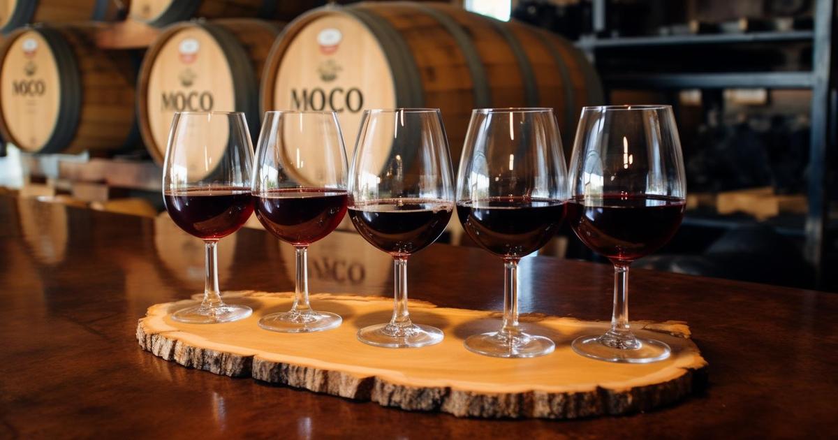 Experience the Magic of MOCOJO Winery