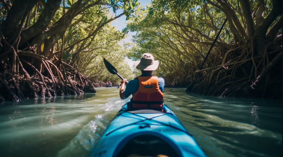 Eco-Tourism: The Pacific's Greenest Destinations