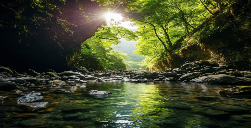 Exploring the Hidden Gems of Dominica: A Traveler's Guide to the Unexplored