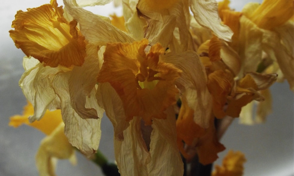 Unraveling the Mysteries of Ancient Egypt Unraveling the Mysteries of Ancient Egypt