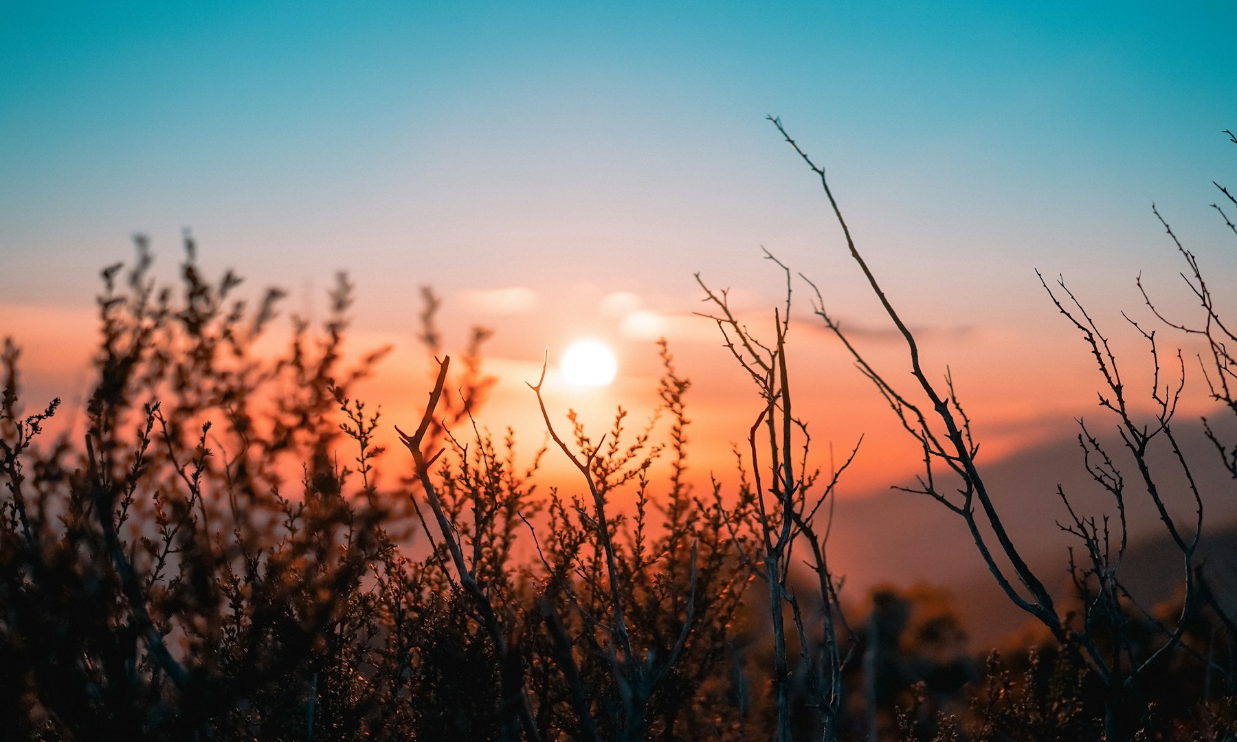 Sunrise to Sunset: The World’s Most Spectacular Views