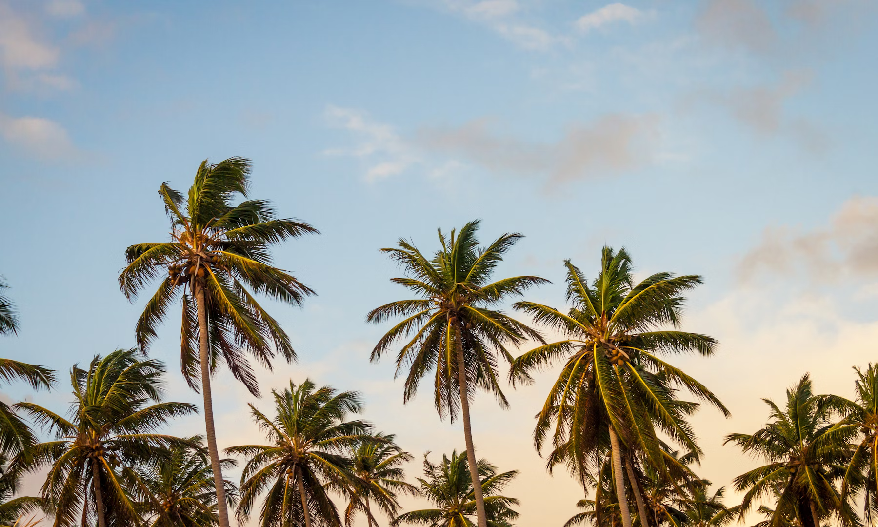 The Undiscovered Isles of Comoros: A Tapestry of Volcanic Landscapes and Swahili Culture