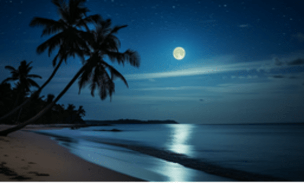 Moonlit Tides: Best Beaches for Night-time Reflection and Relaxation Moonlit Tides: Best Beaches for Night-time Reflection and Relaxation