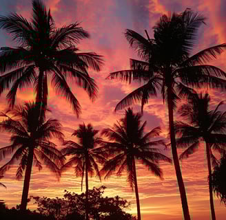 Soulful Sunsets: The Best Beach Spots for Twilight Lovers