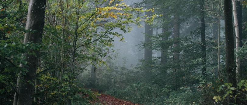 Uncovering Hidden Gems: Exploring Off-the-Beaten-Path Destinations
