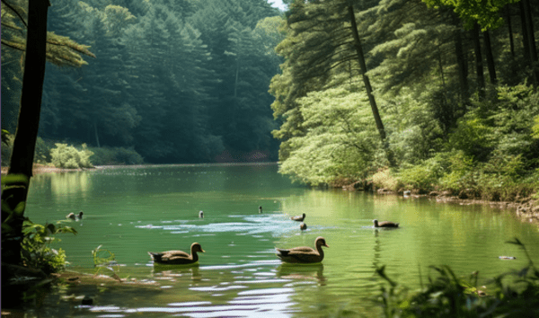 Nature's Symphony: Birdwatching and Wildlife Encounters in Hocking Hills