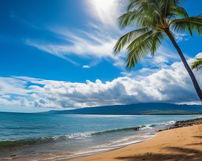 A stunning tropical beach in Hawaii with palm trees and a clear blue sky.