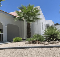 A house with a palm tree