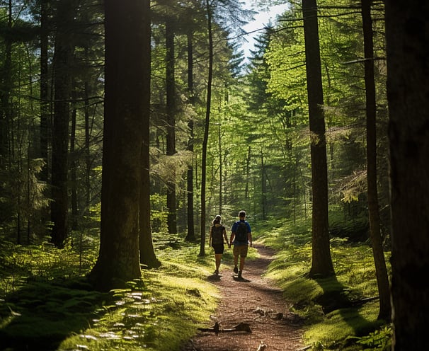 Two hikers walking on a forest trail surrounded by tall trees and green foliage.