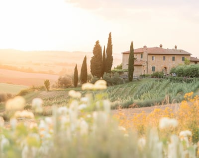 a large house with trees and flowers