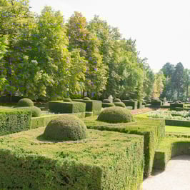 A lush garden with various hedges and trees creating a serene and peaceful atmosphere.