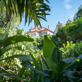 A house surrounded by vibrant green foliage.