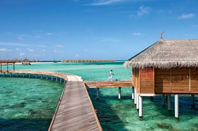 Constance Mofushi Constance Mofushi