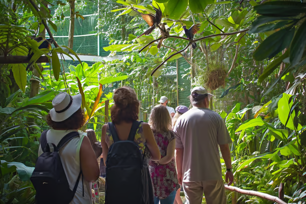 a group of people walking through a jungle a group of people walking through a jungle