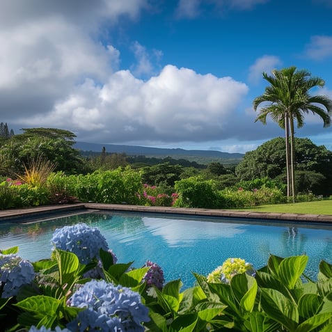Pool  view
