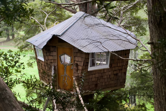 A tree house with a metal roof in New Zealand A tree house with a metal roof in New Zealand