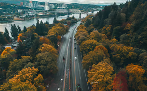 Autumn's embrace along the river, a roadway flanked by fall's fire. Autumn's embrace along the river, a roadway flanked by fall's fire.