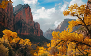 "Golden leaves frame the majestic canyon, nature's grandeur on display. "Golden leaves frame the majestic canyon, nature's grandeur on display.