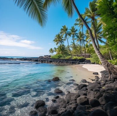 A beach with palm trees and rocks on the shore