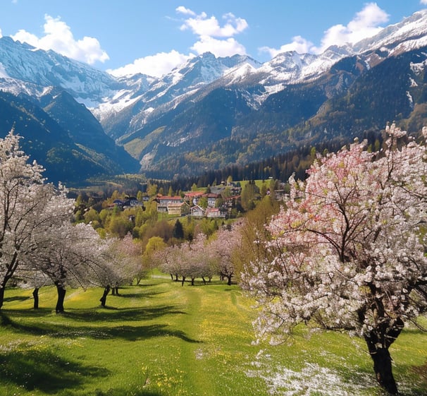  Alpine meadows in full bloom.