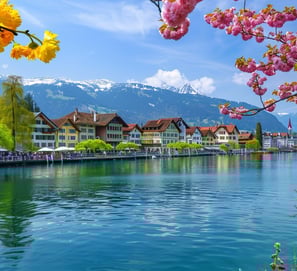 Blossoming landscapes with Matterhorn views.