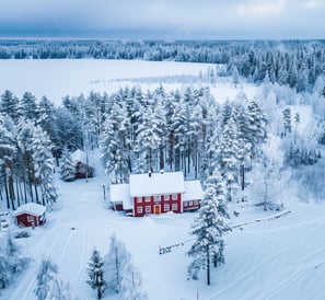 Northern lights and snow-covered forests.