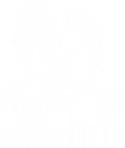 Hawaii Beachcomber