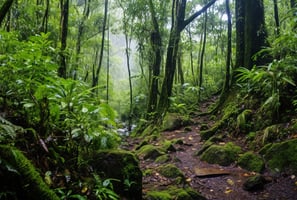 Extinct Volcano's Crater Lake