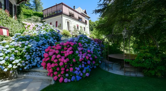 A charming house surrounded by a vibrant garden filled with colorful flowers in full bloom.