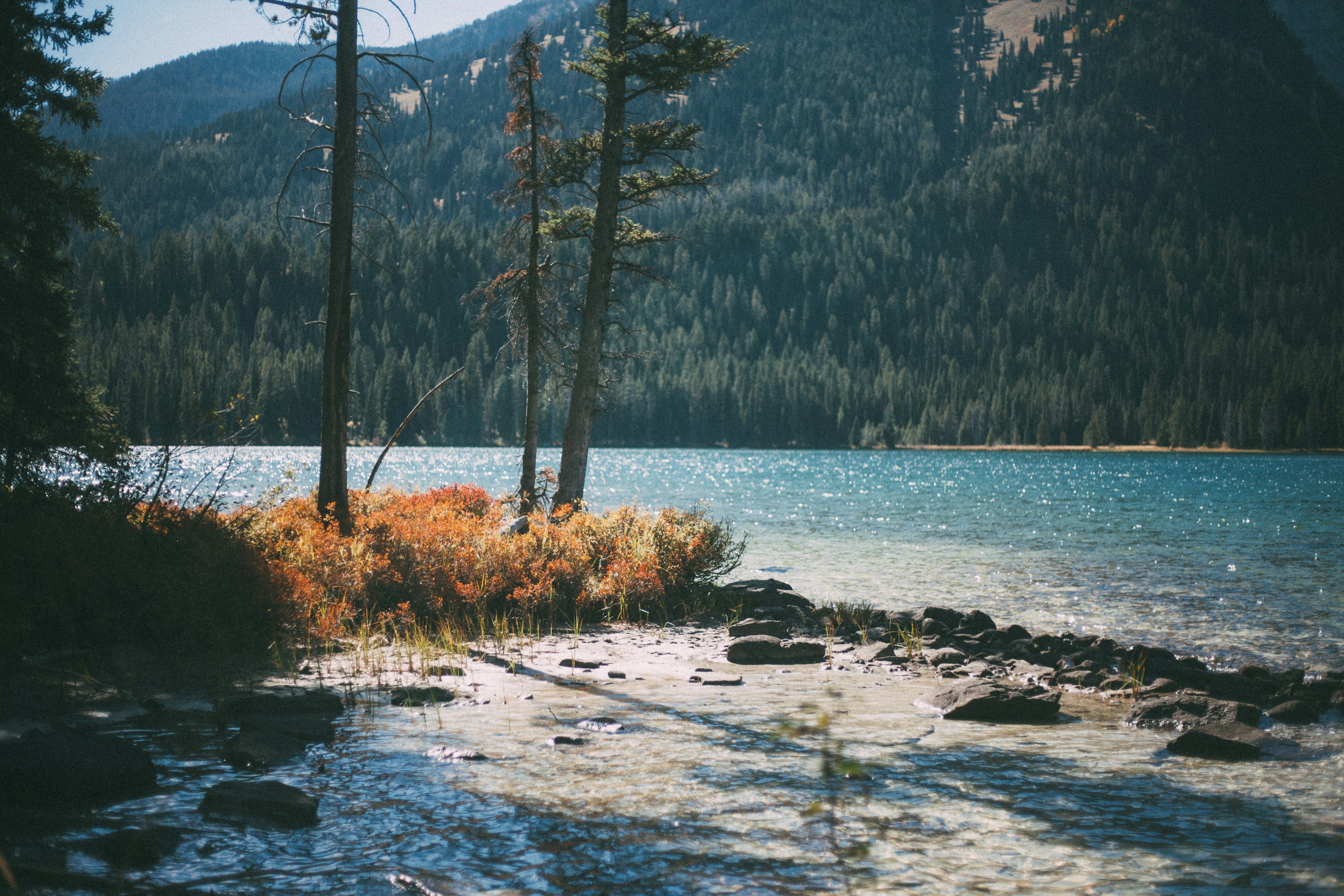along the river, the sound of the water rushing over the rocks was so peaceful.