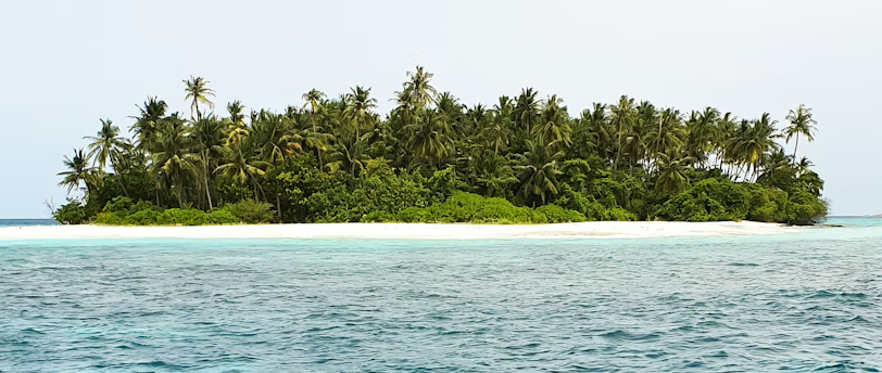 green trees on island surrounded by water during daytime green trees on island surrounded by water during daytime