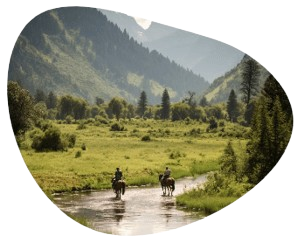 Horseback riding through a river 