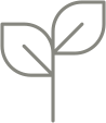 leaf icon leaf icon