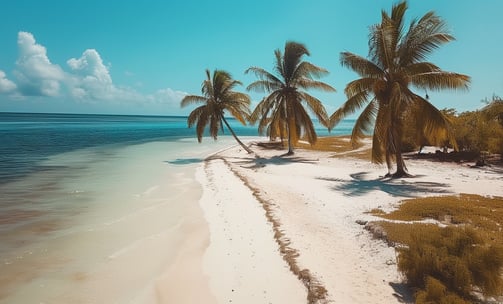 A popular base for divers exploring the wider Belize Barrier Reef.