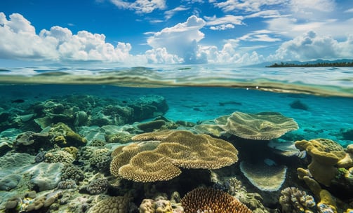 Lighthouse Reef Atoll