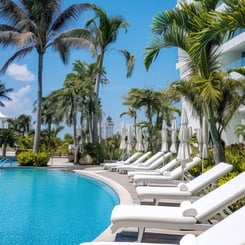 The beach club pool is surrounded by tall palm trees, creating a tropical oasis.