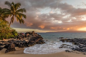a beach with a palm tree in Kihei