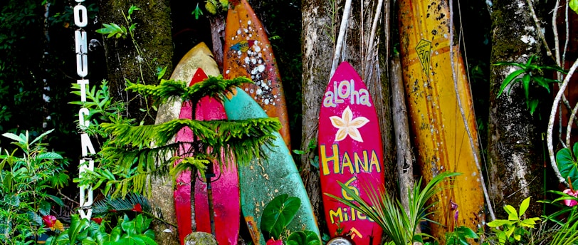 Colorful surfboards lined up in a forest clearing, vibrant against the greenery.