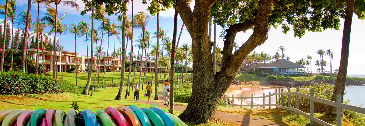 Colorful surfboards lined up on grass, ready for a day of surfing at the beach.
