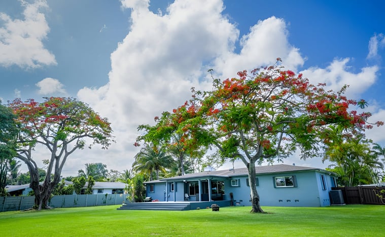 A house with a large lawn and trees in hollywood beach, florida A house with a large lawn and trees in hollywood beach, florida