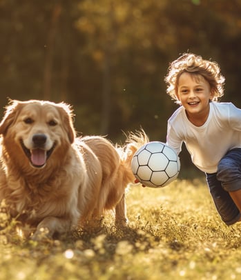 a young boy and a golden retriever is playing with a soccer ball