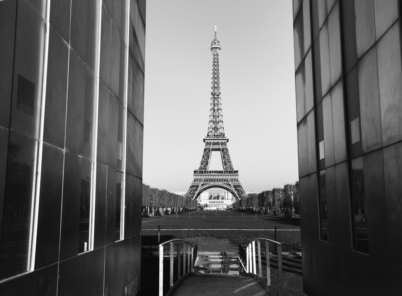 Exotic view of eiffel tower